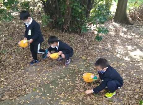 あくなみ神社で団栗拾い