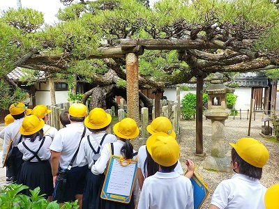 町探検　善照寺